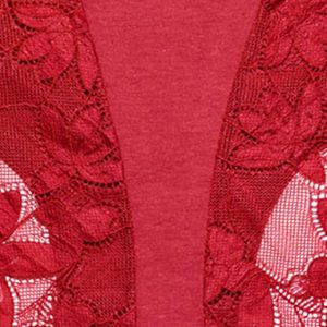 12 Pack Cotton Underwear for Women Silky Seamless No Show Panties Sexy Lace Wasit Hipster Brief Panties for Ladies