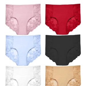 12 Pack Cotton Underwear for Women Silky Seamless No Show Panties Sexy Lace Wasit Hipster Brief Panties for Ladies